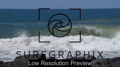 Burleigh 23-08-25 (11)